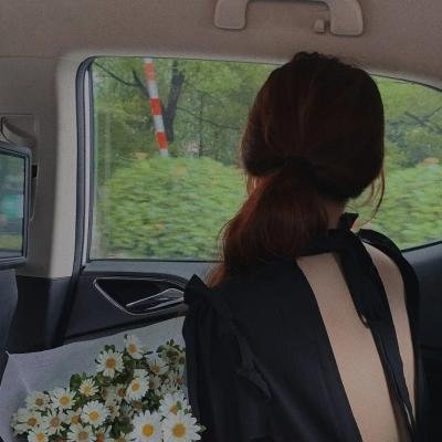 暗战双凤楼